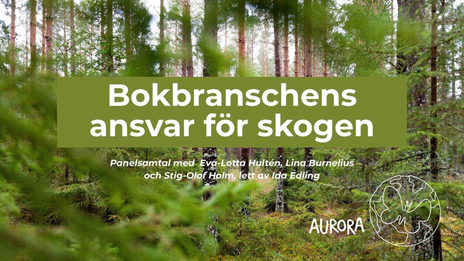 panel description + forest background